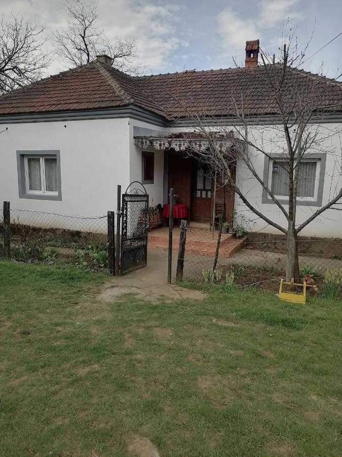 Etno Kuca Badejevic Villa Plavna Екстериор снимка