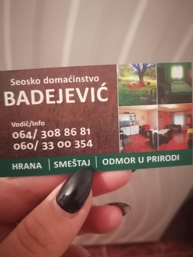 Etno Kuca Badejevic Villa Plavna Екстериор снимка