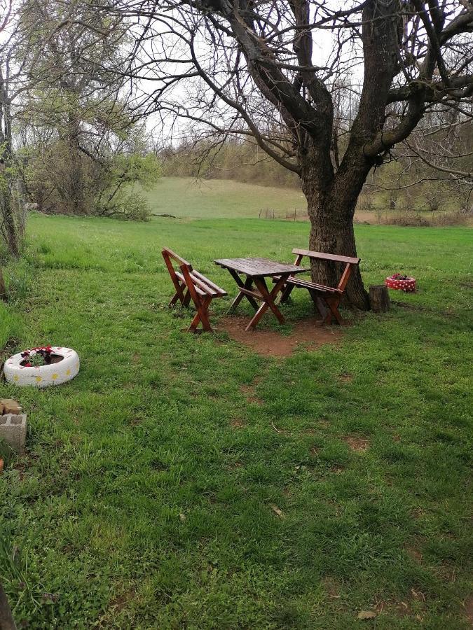 Etno Kuca Badejevic Villa Plavna Екстериор снимка