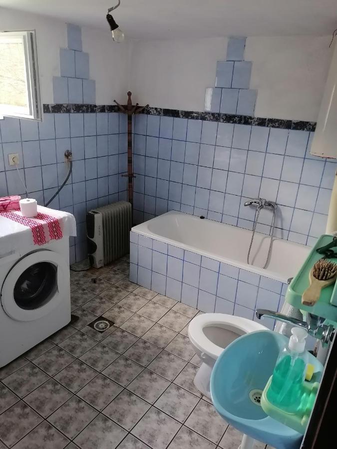 Etno Kuca Badejevic Villa Plavna Екстериор снимка