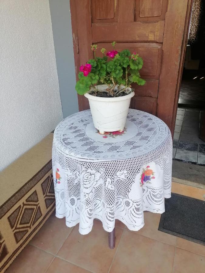 Etno Kuca Badejevic Villa Plavna Екстериор снимка